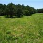Matthew Horton Property