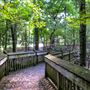 Chautauqua Park Treetop Trail