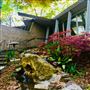The Falk House