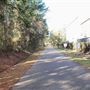 Longleaf Trace
