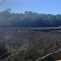 Shepard State Park