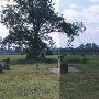 Rural Church and Cemetery