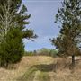 Gray Center - Land