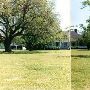 Burn Plantation