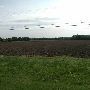 Fields