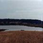 Field and Pond