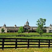 Providence Hill Farm
