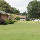 Middle-Class Neighborhood