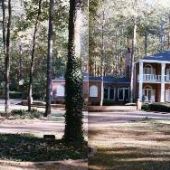 Dogwood Subdivision - Houses