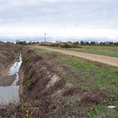 Dement Road