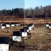 Tishomingo Cemetery