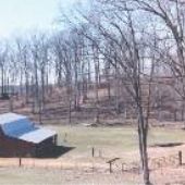 Barn and Forest