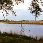 Pascagoula River