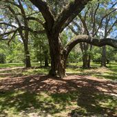 Cissy Jordan Farm