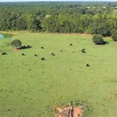 Southern Promiseland Farm