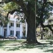 Devereaux Plantation