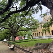 Woodville - Downtown