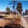 Tunica - Downtown