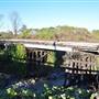 Old Hwy 49 South Bridge