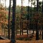 Homochitto National Forest
