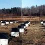 Tishomingo Cemetery