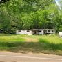 Overgrown Trailer Park