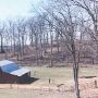Barn and Forest