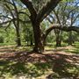 Cissy Jordan Farm