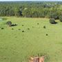 Southern Promiseland Farm
