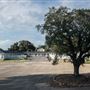 Flamingo Beach Inn