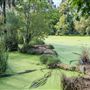 Gulf Coast Gator Ranch & Tours