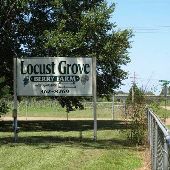Locust Grove Berry Farm