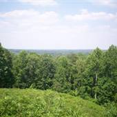 Jeff Busby Park
