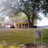 Penn Quarter Horse Farm