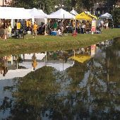USM Football Tailgate