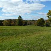 Chestnut Hill Subdivision Development