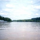 Yazoo River