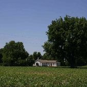 Field Church