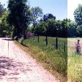 Gunter Road