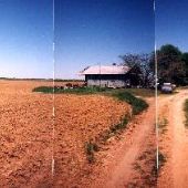 House in field