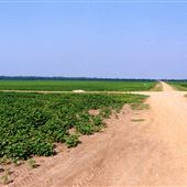 Crossroads