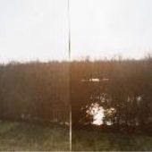 Levee - across from Paradise Point