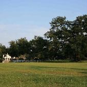 Cemetery