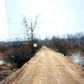 Road in Swamp