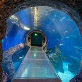 Mississippi Aquarium