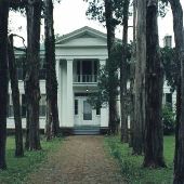 Rowan Oak (1848)
