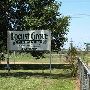 Locust Grove Berry Farm