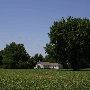 Field Church