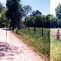 Gunter Road