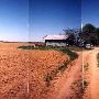 House in field